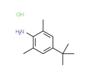 4-tert-Butyl-2,6-dimethylaniline HCl (CAS 859784-19-3) - chemical structure image