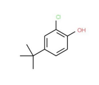 4-tert-Butyl-2-chlorophenol (CAS 98-28-2) - chemical structure image