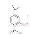 4-tert-Butyl-2-ethoxy-benzoic acid (CAS 796875-53-1) - chemical structure image