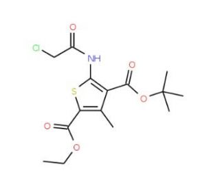 4-tert-butyl 2-ethyl 5-(2-chloroacetamido)-3-methylthiophene-2,4-dicarboxylate - chemical structure image