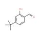 4-tert-Butyl-2-hydroxybenzaldehyde (CAS 66232-34-6) - chemical structure image