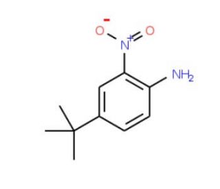 4-tert-Butyl-2-nitroaniline (CAS 6310-19-6) - chemical structure image