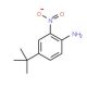 4-tert-Butyl-2-nitroaniline (CAS 6310-19-6) - chemical structure image