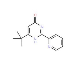 4-tert-Butyl-6-hydroxy-2-(2-pyridyl)pyrimidine - chemical structure image
