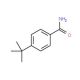 4-(tert-Butyl)benzamide (CAS 56108-12-4) - chemical structure image
