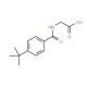 (4-tert-Butyl-benzoylamino)-acetic acid (CAS 87015-91-6) - chemical structure image