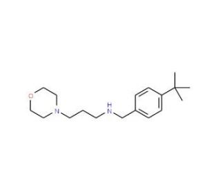 (4-tert-Butyl-benzyl)-(3-morpholin-4-yl-propyl)-amine - chemical structure image