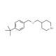 4-(tert-Butyl)benzyl 4-piperidinylmethyl ether - chemical structure image
