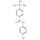 4-tert-butyl-N-(4-hydroxyphenyl)benzamide - chemical structure image