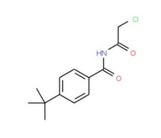 4-tert-butyl-N-(chloroacetyl)benzamide - chemical structure image