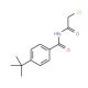 4-tert-butyl-N-(chloroacetyl)benzamide - chemical structure image