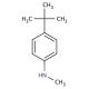 4-tert-butyl-N-methylaniline - chemical structure image