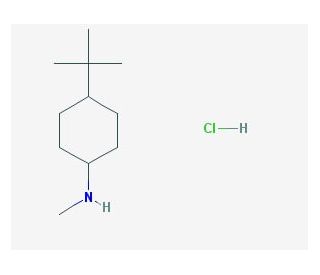 4-tert-butyl-N-methylcyclohexan-1-amine hydrochloride - chemical structure image