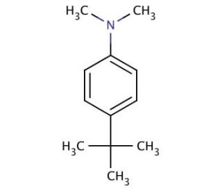 4-tert-Butyl-N,N-dimethylaniline (CAS 2909-79-7) - chemical structure image