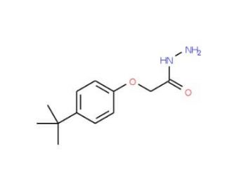 (4-tert-Butyl-phenoxy)-acetic acid hydrazide (CAS 75843-50-4) - chemical structure image