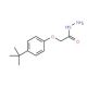 (4-tert-Butyl-phenoxy)-acetic acid hydrazide (CAS 75843-50-4) - chemical structure image