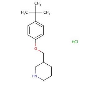 4-(tert-Butyl)phenyl 3-piperidinylmethyl etherhydrochloride - chemical structure image