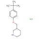 4-(tert-Butyl)phenyl 3-piperidinylmethyl etherhydrochloride - chemical structure image