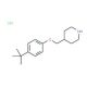 4-(tert-Butyl)phenyl 4-piperidinylmethyl etherhydrochloride - chemical structure image