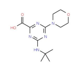 4-tert-Butylamino-6-morpholin-4-yl-[1,3,5]triazine-2-carboxylic acid (CAS 626223-45-8) - chemical structure image