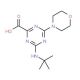 4-tert-Butylamino-6-morpholin-4-yl-[1,3,5]triazine-2-carboxylic acid (CAS 626223-45-8) - chemical structure image