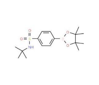 4-(tert-Butylamino)sulfonylphenylboronic acid pinacol ester (CAS 648905-63-9) - chemical structure image
