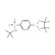 4-(tert-Butylamino)sulfonylphenylboronic acid pinacol ester (CAS 648905-63-9) - chemical structure image