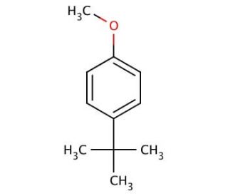 4-tert-Butylanisole (CAS 5396-38-3) - chemical structure image