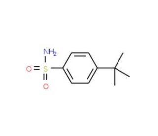 4-tert-Butylbenzenesulfonamide (CAS 6292-59-7) - chemical structure image