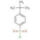 4-tert-Butylbenzenesulfonyl chloride (CAS 15084-51-2) - chemical structure image