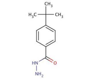 4-tert-Butylbenzoic hydrazide (CAS 43100-38-5) - chemical structure image