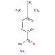 4-tert-Butylbenzoic hydrazide (CAS 43100-38-5) - chemical structure image
