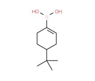 4-(tert-Butylcyclohexen-1-yl)boronic acid (CAS 850567-91-8) - chemical structure image