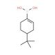 4-(tert-Butylcyclohexen-1-yl)boronic acid (CAS 850567-91-8) - chemical structure image