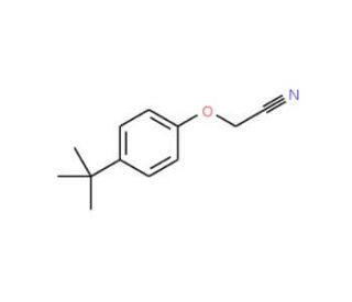 (4-tert-Butylphenoxy)acetonitrile (CAS 50635-24-0) - chemical structure image