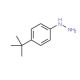 (4-tert-Butylphenyl)hydrazine (CAS 61765-93-3) - chemical structure image