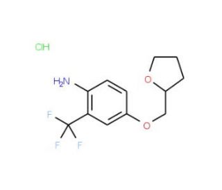 4-(Tetrahydro-2-furanylmethoxy)-2-(trifluoromethyl)aniline hydrochloride - chemical structure image