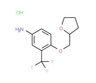 4-(Tetrahydro-2-furanylmethoxy)-3-(trifluoromethyl)aniline hydrochloride - chemical structure image