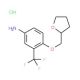4-(Tetrahydro-2-furanylmethoxy)-3-(trifluoromethyl)aniline hydrochloride - chemical structure image