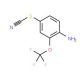 4-Thiocyanato-2-(trifluoromethoxy)aniline (CAS 1133115-28-2) - chemical structure image