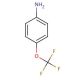 4-(Trifluoromethoxy)aniline (CAS 461-82-5) - chemical structure image