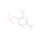 4-(Trifluoromethoxy)benzene-1,3-diamine (CAS 873055-90-4) - chemical structure image