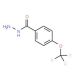 4-(Trifluoromethoxy)benzoic acid hydrazide (CAS 175277-18-6) - chemical structure image