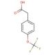4-(Trifluoromethoxy)phenylacetic acid (CAS 4315-07-5) - chemical structure image