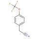 4-(Trifluoromethoxy)phenylacetonitrile (CAS 49561-96-8) - chemical structure image