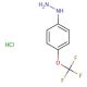 4-(Trifluoromethoxy)phenylhydrazine hydrochloride (CAS 133115-72-7) - chemical structure image