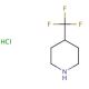 4-(Trifluoromethyl)piperidine hydrochloride (CAS 155849-49-3) - chemical structure image