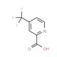 4-(Trifluoromethyl)pyridine-2-carboxylic acid (CAS 588702-62-9) - chemical structure image
