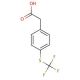 4-(Trifluoromethylthio)phenylacetic acid (CAS 102582-93-4) - chemical structure image