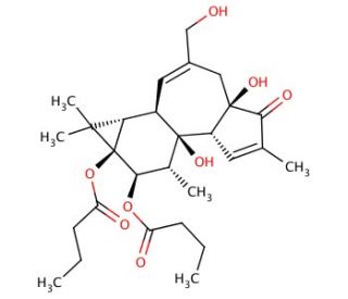 4&alpha;-Phorbol 12,13-dibutyrate (CAS 93781-54-5) - chemical structure image